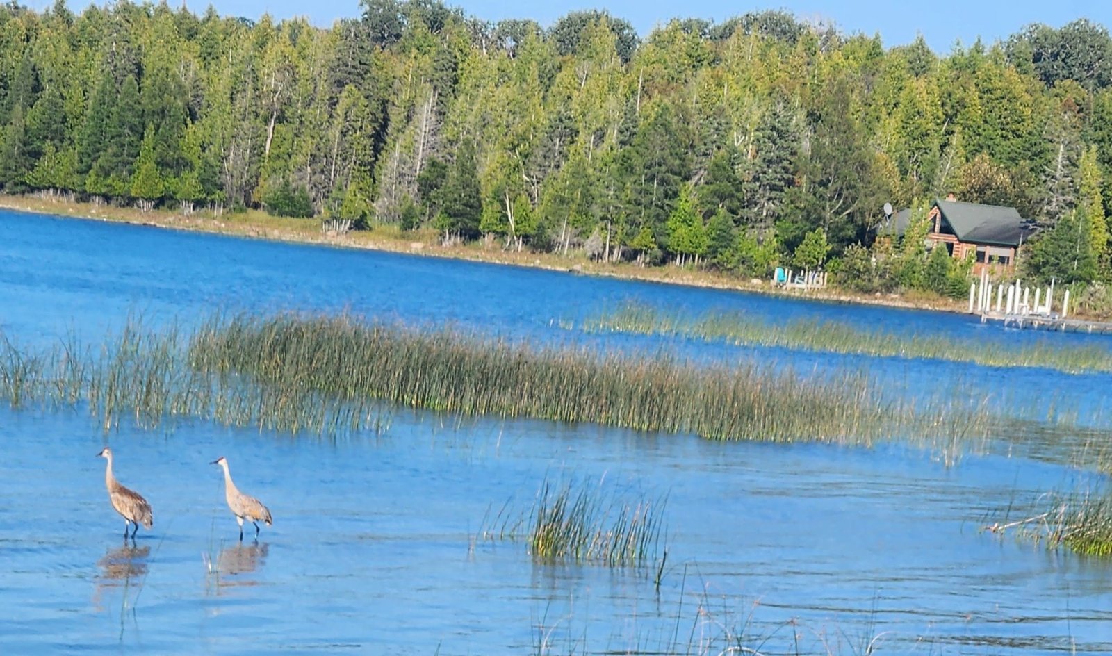 Drummond Island Lake Home