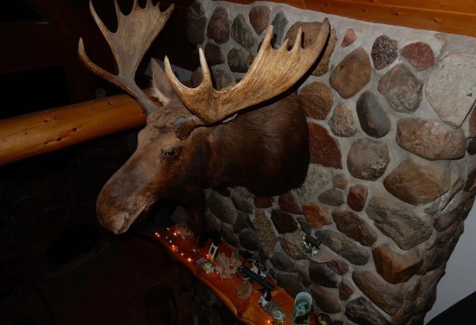 Drummond island water front rental.com