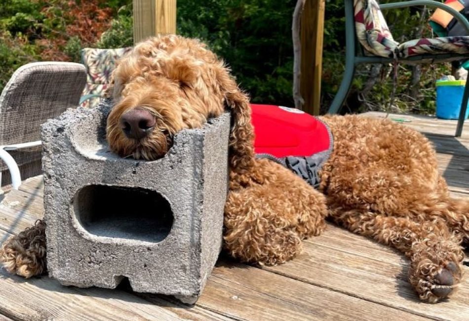 Drummond island water front rental.com