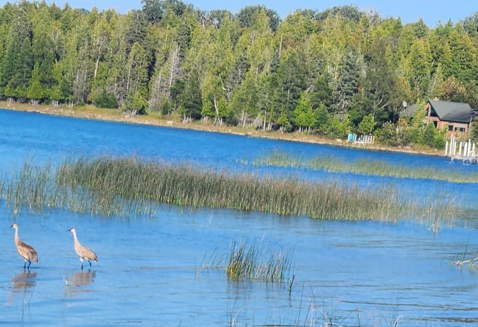Drummond Island Lake Home