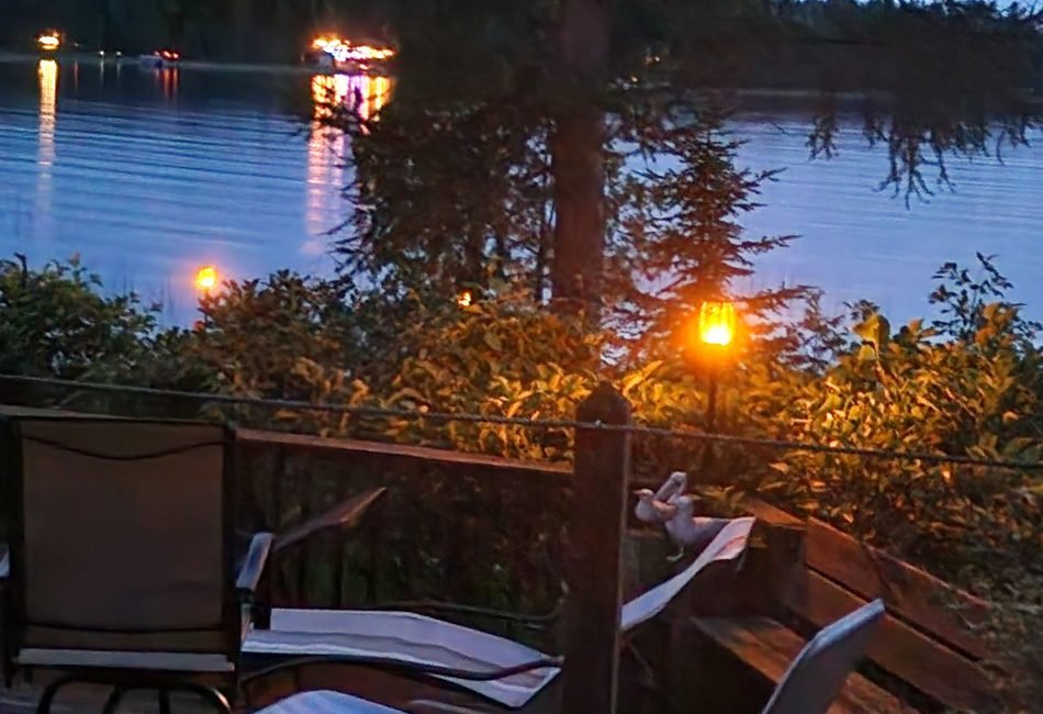evening view